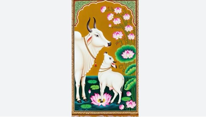वास्तूशास्त्रानुसार कामधेनू गायीला उत्तर-पूर्व दिशेत लावले पाहिजे. तसे केल्यास घरात सुख, शांती नांदते असे सांगितले आहेत. तर कामधेनू गायीचा फोटो दक्षीण पूर्व दिशेला लावल्यास आर्थिक दृष्टीने समृद्धी मिळू शकते, असे सांगितले जाते.