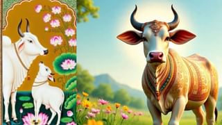 ज्याला हिंदी शिकायची त्याने जरुर शिका, पण…; स्वप्नील जोशीने मांडलं परखड मत