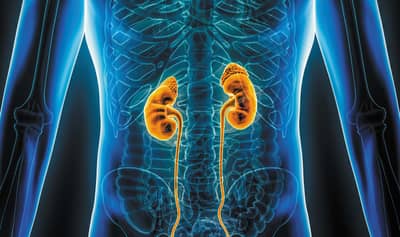 या 10 वाईट सवयींमुळे किडनीचे आरोग्य धोक्यात, तुम्ही तर करत नाहीत ना या चुका ?