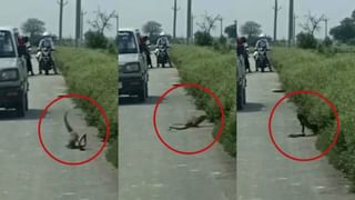 फ्लाइटमधला रोमान्स केवढ्याला पडतो? काय होतं? माजी एयर होस्टेसने सांगितलं मोठं सत्य