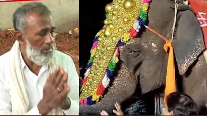 ती जायला तयार नव्हती, तिला.. ; महादेवी हत्तीनीच्या आठवणीने माहूत इस्माईल चाचांना अश्रु अनावर ती जायला तयार नव्हती, तिला.. ; महादेवी हत्तीनीच्या आठवणीने माहूत इस्माईल चाचांना अश्रु अनावर