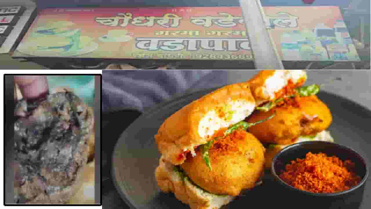 Lonavala : ईईई... लोणावळ्याचा फेमस वडापाव तुम्ही खाताय? थांबा, कारण उंदरांनी चावलेल्या बटाट्यांचा वापर अन्...