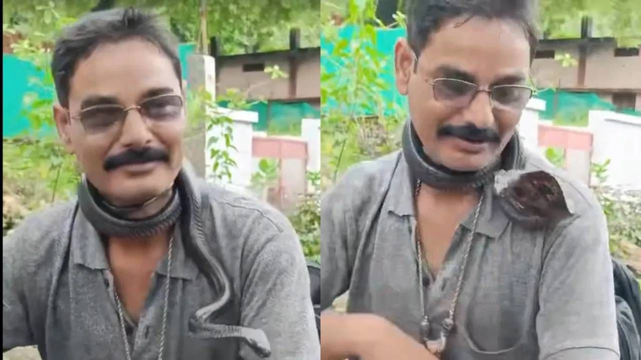 गळ्यात विषारी साप टाकून बाईकवर निघाला, Reel बनवण्याच्या नादात त्याने... गळ्यात विषारी साप टाकून बाईकवर निघाला, Reel बनवण्याच्या नादात त्याने...