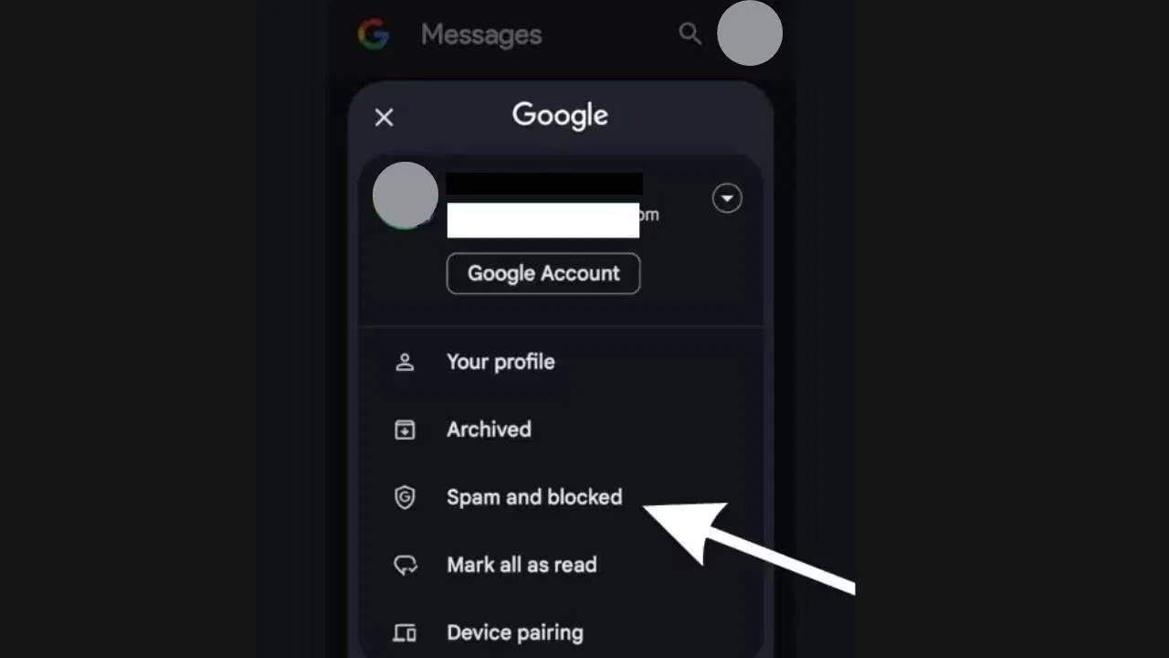 स्पॅम फोल्डर कसे तपासायचे: स्टेप 1 : मेसेजेस ॲपच्या मुख्य पेजवरून, प्रोफाइल आयकॉनवर टॅप करा. स्पॅम आणि ब्लॉक वर टॅप करा. स्टेप 2 : ब्लॉक केलेल्या मेसेजमधून स्क्रोल करा आणि जर तुम्हाला संबंधित मेसेज सापडला तर त्यावर टॅप करा.