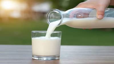 नॉन-वेज दूध म्हणजे नेमकं काय आणि यावर वाद का होत आहे? चला जाणून घेऊया....