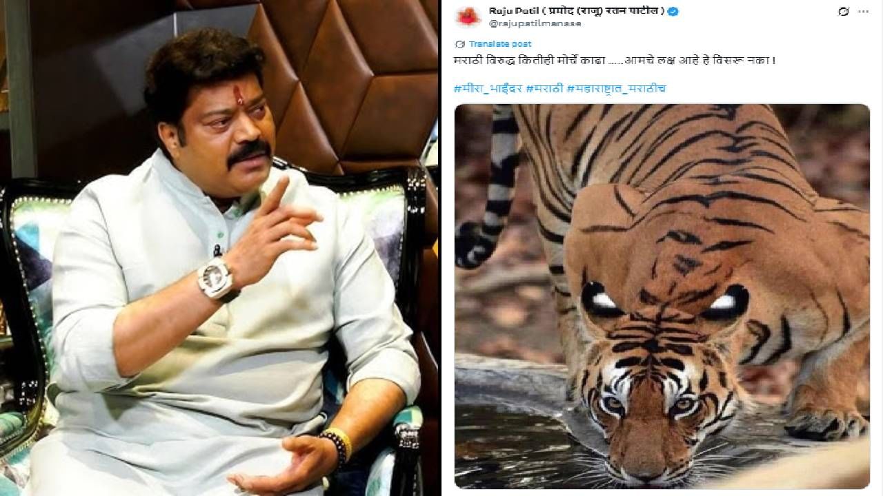 MNS Raju Patil : ...आमचे लक्ष आहे हे विसरू नका, मनसेच्या आमदाराचं एक ट्वीट अन् चर्चांना उधाण