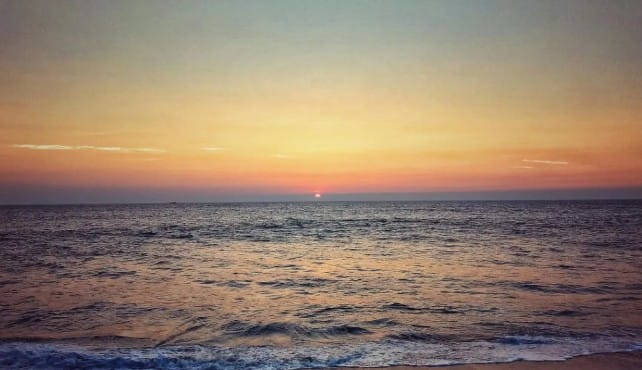 सकाळी उठल्यानंतर गायीला पोळी द्यावी, असे म्हटले जाते. गायीमध्ये 33 कोटी देवांचे वास्तव्य असते, असे म्हटले जाते. त्यामुळे सकाळी उठल्यावर अगोदर गायीला खायला द्यायला हवे, असे म्हटले जाते. 