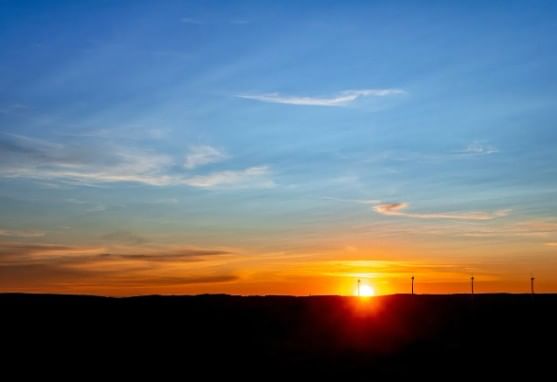 सकाळी उठल्यावर पक्ष्यांनाही दाणे टाकावेत असे म्हटले जाते. वास्तूशास्त्रानुसार पक्ष्यांना खायला घालणे शुभ मानले जाते. 