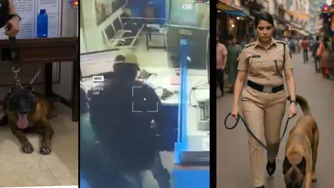 जश्शी आहेच तश्शी हुशार... चपलेच्या वासावरून आरोपी पकडला, साडी नेसून... पोलिसांनी व्हिडीओ पोस्ट करत दिली माहिती