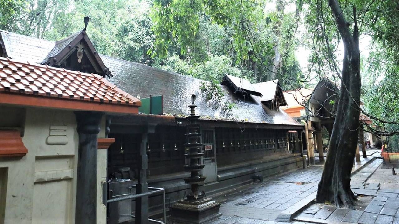 देशात केरळमध्ये मन्नारसाला येथ मोठं नागदेवतेचं मंदिर आहे. हे सर्वात मोठे मंदिर मानले जाते. केरळच्या हरिपद जंगलात असलेल्या मन्नारसाला मंदिराचा इतिहास केरळचे निर्माते मानले जाणारे भगवान विष्णूचे सहावे अवतार भगवान परशुराम यांच्याशी संबंधित आहे.