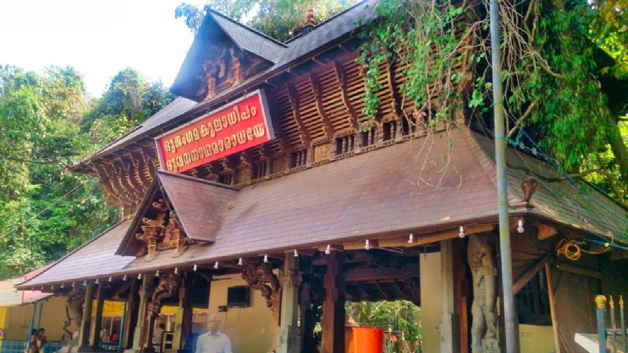 केरळचं मन्नारसाला हे मंदिर खूप चमत्कारिक असल्याचे म्हटले जाते, विशेषतः ज्यांना मुले होत नाहीत ते जोडपी येथे येतात आणि मूल होण्यासाठी नवस करतात. 