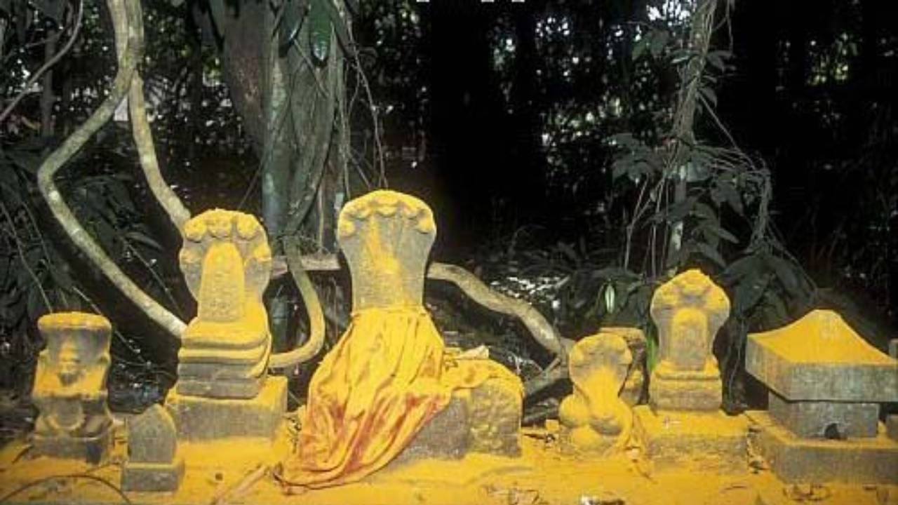 असे सांगितले जाते की, ज्यांचा नवस पूर्ण होतो, इच्छा पूर्ण होते त्यांना या मंदिरात पुन्हा येऊन नवस फेडावा लागतो. यावेळी त्यांना नाग, सापाच्या मूर्ती अर्पण कराव्या लागतात.