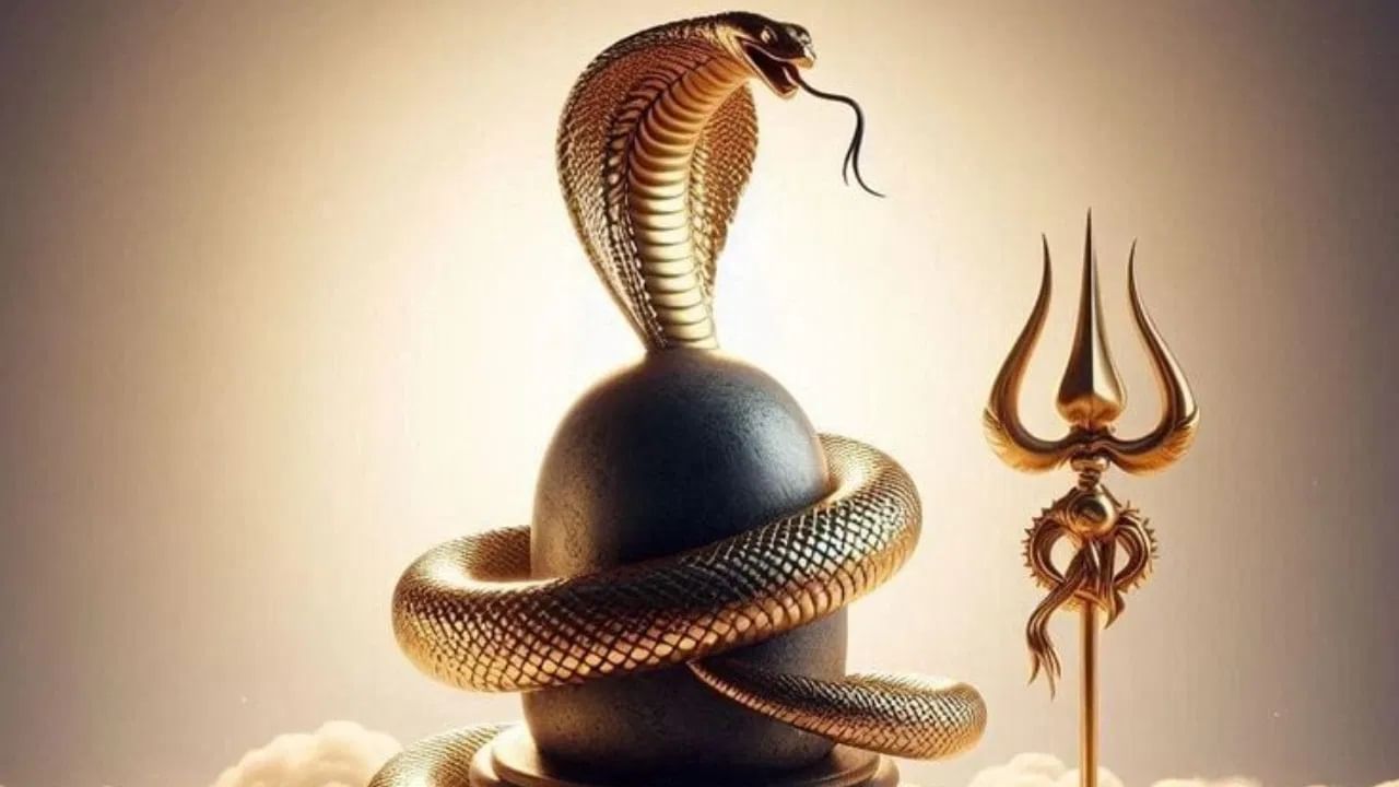 Nag Panchami 2025:  नागपंचमीच्या दिवाशी साप दिसला तर काय? जाणून घ्या चांगलं की वाईट?