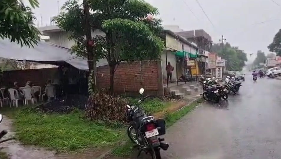 याच कारणामुळे या दोन्ही भावांत वाद व्हायचा. नेहमीप्रमाणे वैभव दारू पिऊन घरी आला. त्याने हरीशच्या मुलांना आणि पत्नीला शिवीगाळ करत केली. मोठ्या भावाने (हरीश)विचारणा केली असता त्याने आपल्या मोठ्या भावालाही शिवीगाळ करायला सुरुवात केली.