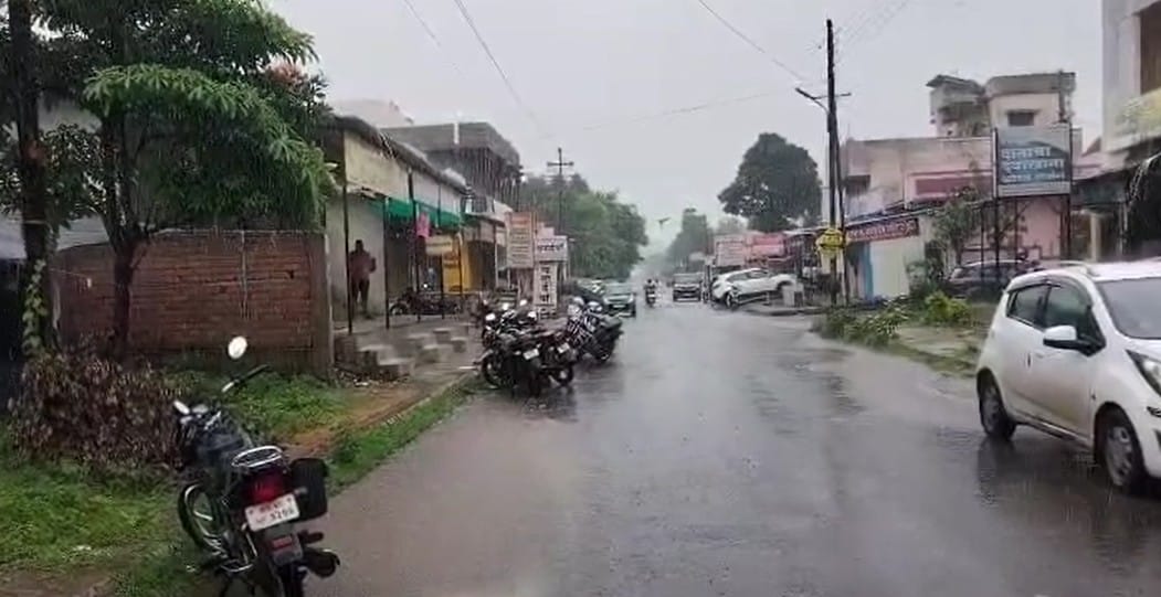 या शिवीगाळीमुळे रागात येऊन आरोपी हरीशने वैभवच्या गळ्यावर चाकूचा वार केला. यातच वैभवचा जागीच मृत्यू झाला. हत्या केल्यानंतर आरोपीने स्वतः पोलीस स्टेशनला जाऊन खून केल्याची कबुली दिली आहे. आता पोलिसांनी आरोपीवर खुनाचा गुन्हा दाखल केला आहे.