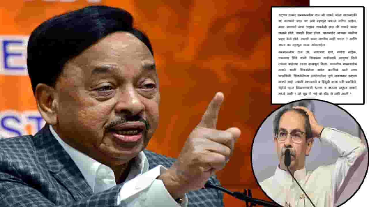 Narayan Rane : ... अन् आता लाळ ओकताहेत, तेव्हा राज ठाकरेंना बाहेरचा रस्ता दाखवला; राणेंचा ठाकरेंवर प्रहार