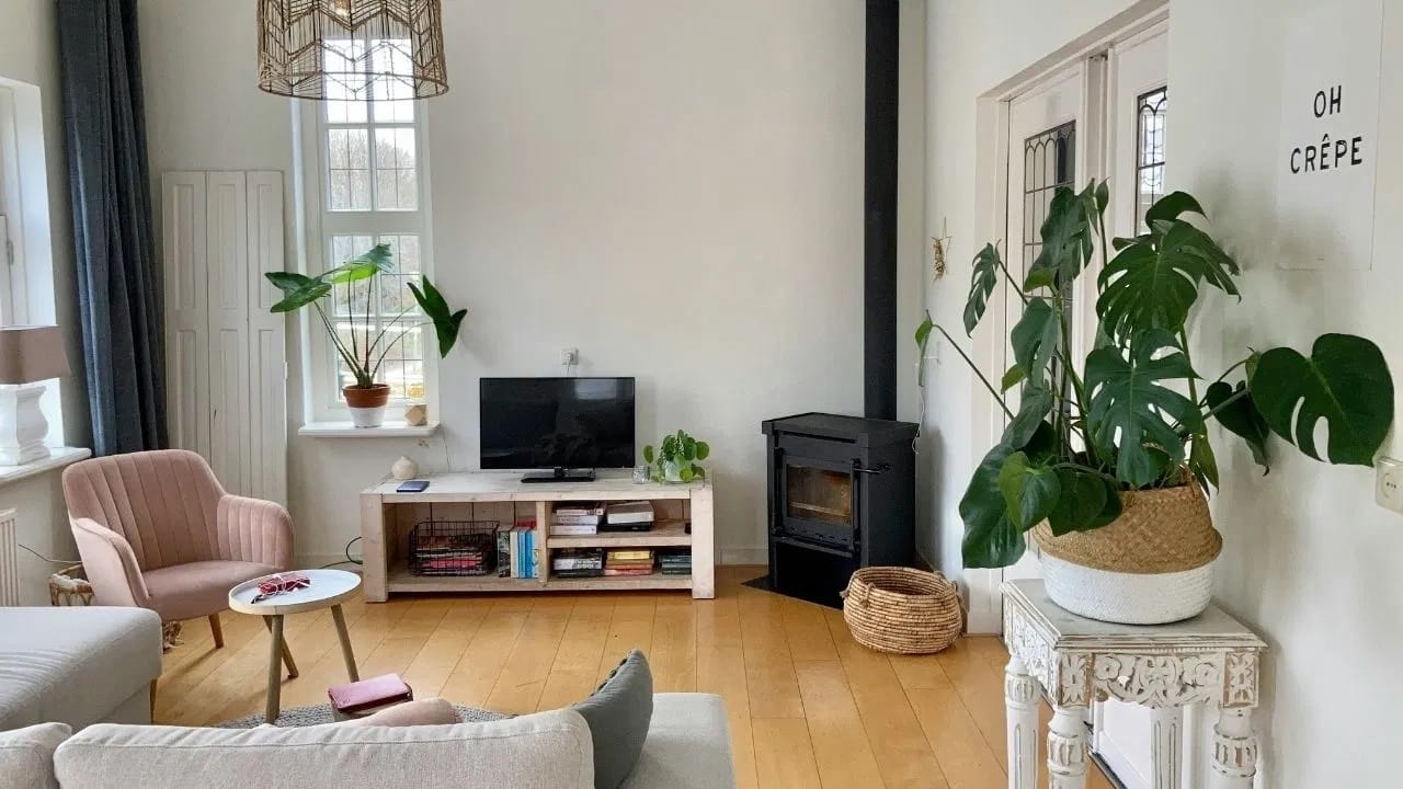 घराच्या ईशान्य दिशेला तुळशीचे रोप लावणे खूप शुभ मानले जाते. ते सकारात्मकतेचे प्रतीक आहे आणि घराचे रोग आणि वाईट शक्तींपासून रक्षण करते.