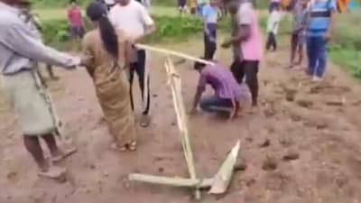 Video : प्रेम केलं म्हणून दिली भयंकर शिक्षा, दोघांनाही बैल बनवलं अन्..,हादरवून टाकणारा व्हिडीओ!