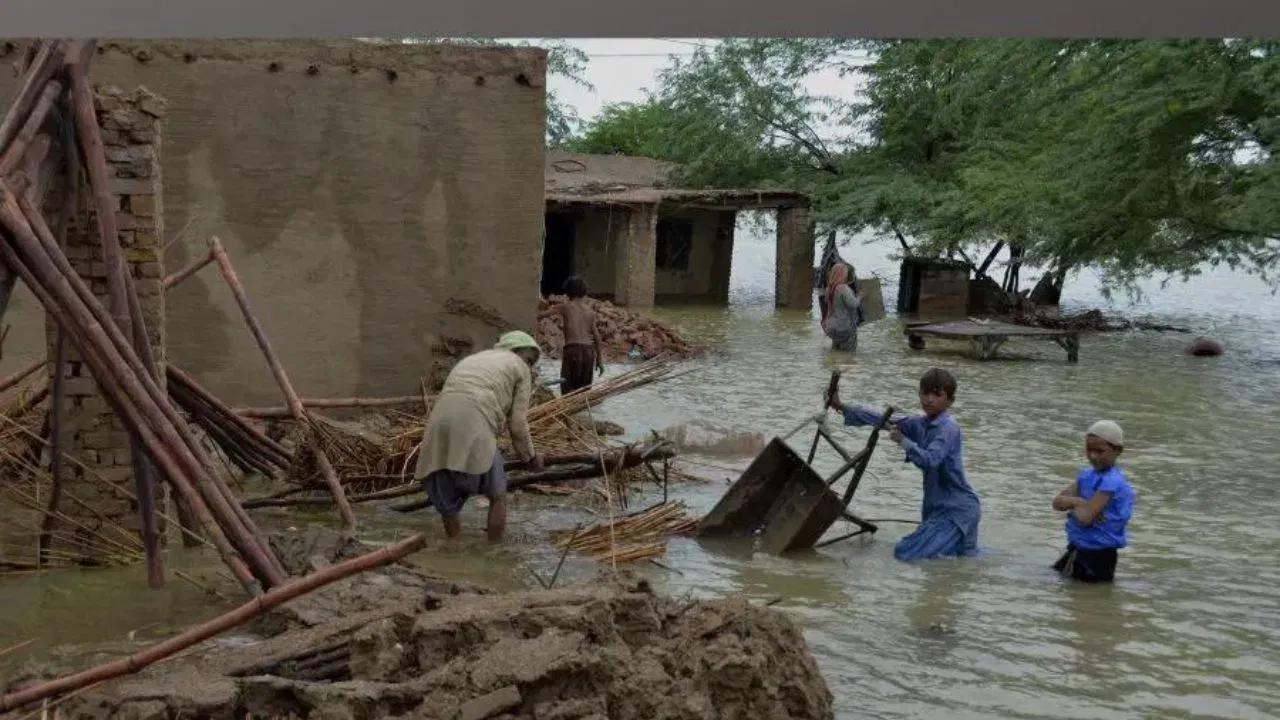 पाकिस्तानात हाहाकार! 126 मुलांसह 266 लोकांचा मृत्यू, सरकारची चिंता वाढली