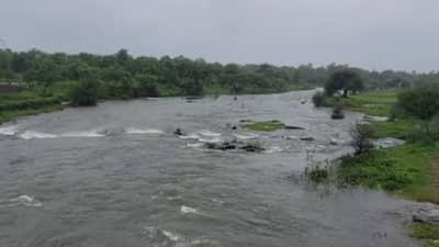 पालघरमध्ये रेड अलर्ट कायम, शाळांना सुट्टी, नद्या इशारा पातळीवर; जिल्हाधिकाऱ्यांकडून मोठे आवाहन