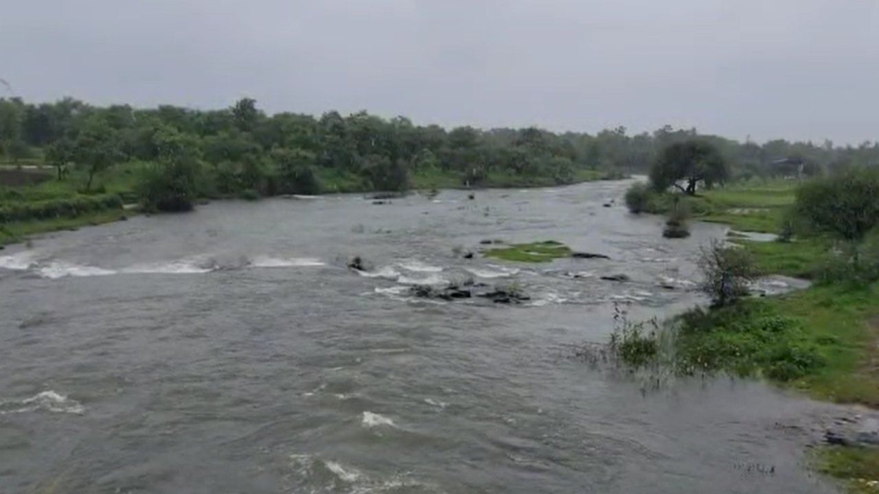 पालघरमध्ये रेड अलर्ट कायम, शाळांना सुट्टी, नद्या इशारा पातळीवर; जिल्हाधिकाऱ्यांकडून मोठे आवाहन