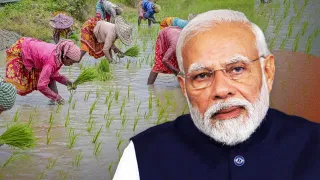 PM Kisan: 9.7 कोटी शेतकऱ्यांना राखी पौर्णिमेची भेट, खात्यात इतके कोटी जमा होणार