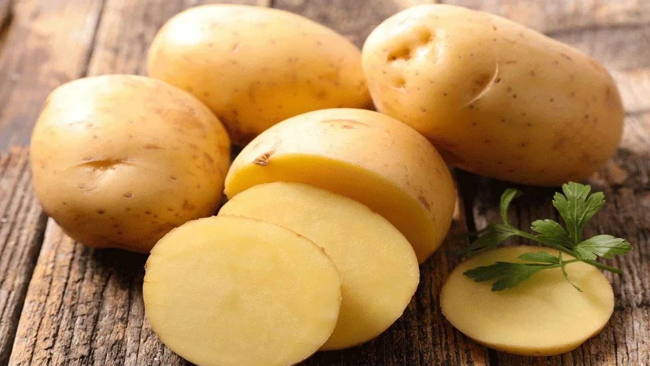 फ्रेंच फ्रायसाठी जगात कुठे होतो सर्वाधिक बटाटा उत्पादन? आकडा ऐकून व्हाल थक्क!