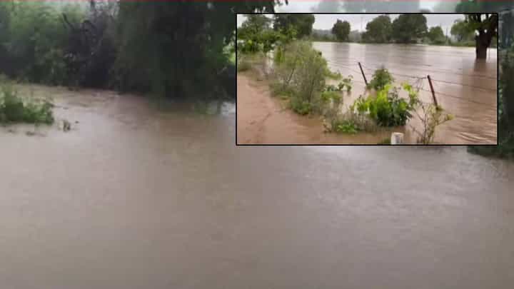 Maharashtra Rain : धुव्वाधार, कुठं घरासह शेतात पाणी तर कुठं रस्तेच पाण्याखाली, राज्यात कशी परिस्थिती? Maharashtra Rain : धुव्वाधार, कुठं घरासह शेतात पाणी तर कुठं रस्तेच पाण्याखाली, राज्यात कशी परिस्थिती?