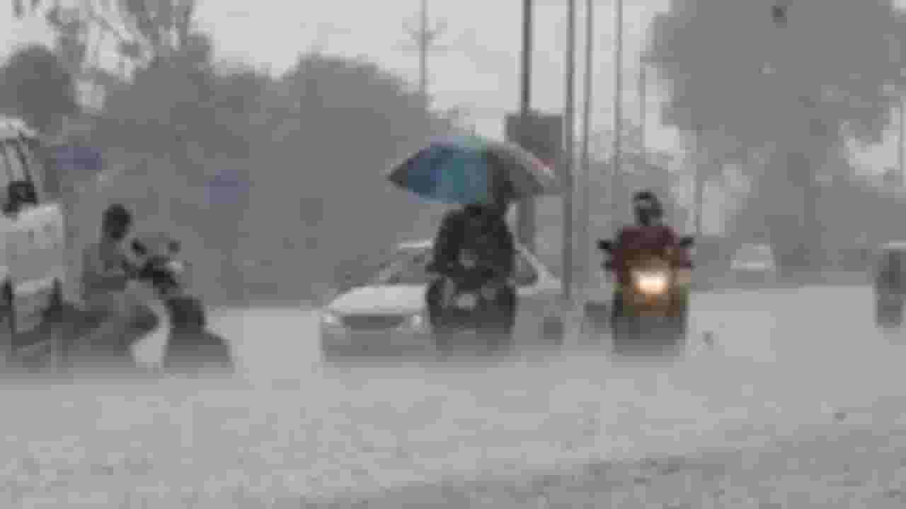Maharashtra Rain: पुढील 2 ते 3 दिवस मुसळधार; अनेक जिल्ह्यांना अलर्ट जारी Maharashtra Rain: पुढील 2 ते 3 दिवस मुसळधार; अनेक जिल्ह्यांना अलर्ट जारी