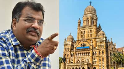 महापालिका निवडणुका महायुती एकत्र लढणार? नवे प्रदेशाध्यक्ष काय म्हणाले?; महापौरपदाबाबतही मोठं विधान