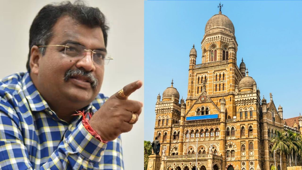 महापालिका निवडणुका महायुती एकत्र लढणार? नवे प्रदेशाध्यक्ष काय म्हणाले?; महापौरपदाबाबतही मोठं विधान