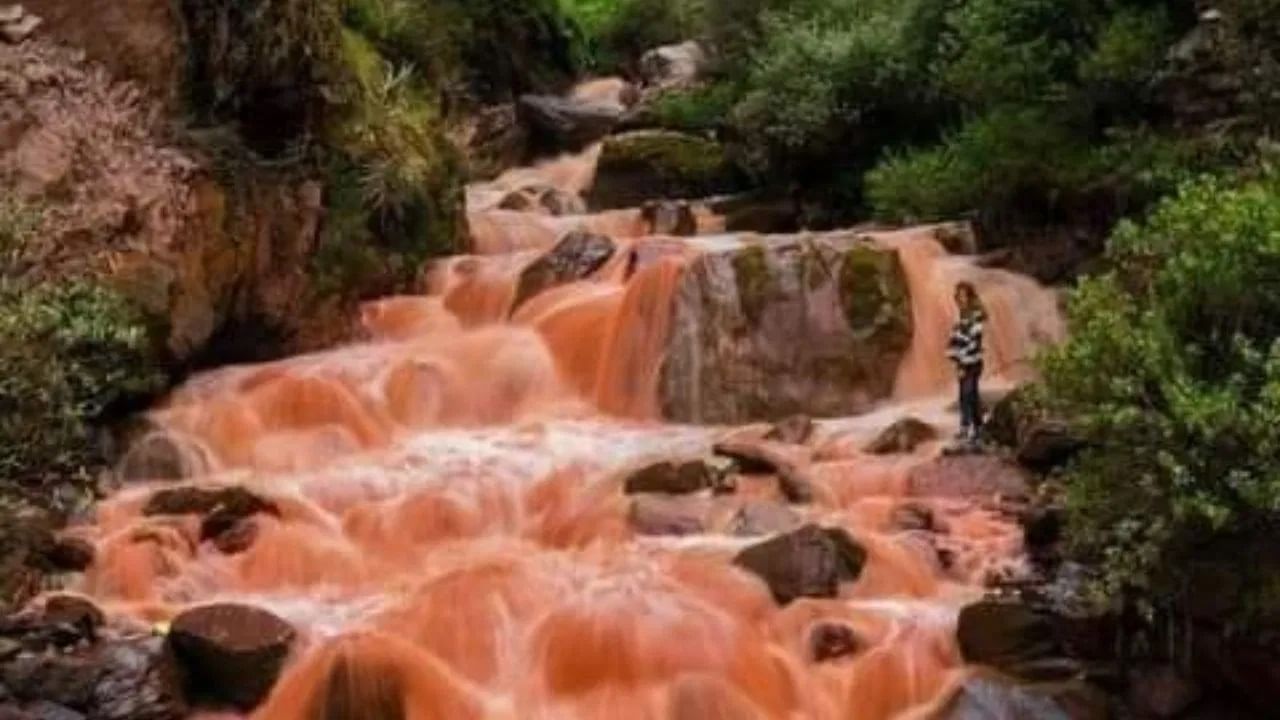  या नदीचा रंग रक्तासारखा लाल आहे. बऱ्याचदा लोकांना असा भ्रम होतो की या नदीत रक्त वाहत आहे. ही नदी पाहून अनेक लोक घाबरतात. बरेच लोक या नदीला ब्लड फॉल्स किंवा ब्लड रेड रिव्हर या नावाने ओळखतात. पण या नदीचे खरे नाव पुकामु नदी आहे.