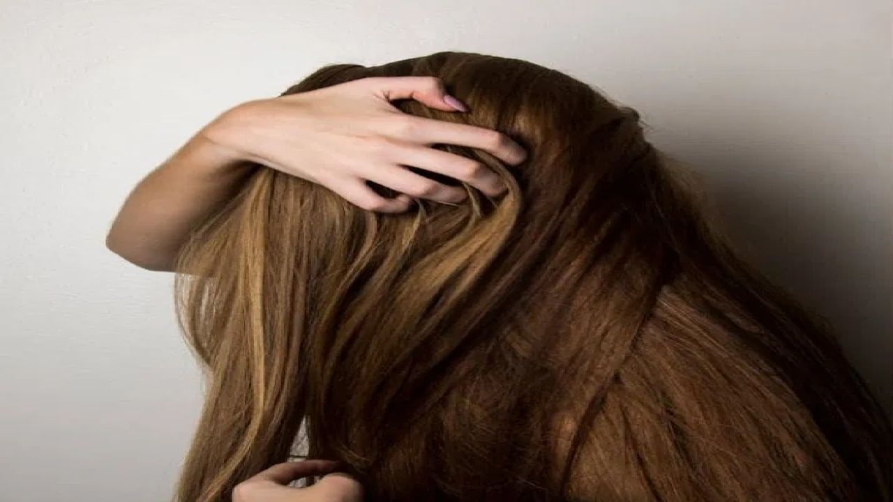 'या' सोप्या उपायांनी केस न धुता स्कॅल्पवरील तेलांची समस्या होईल दूर