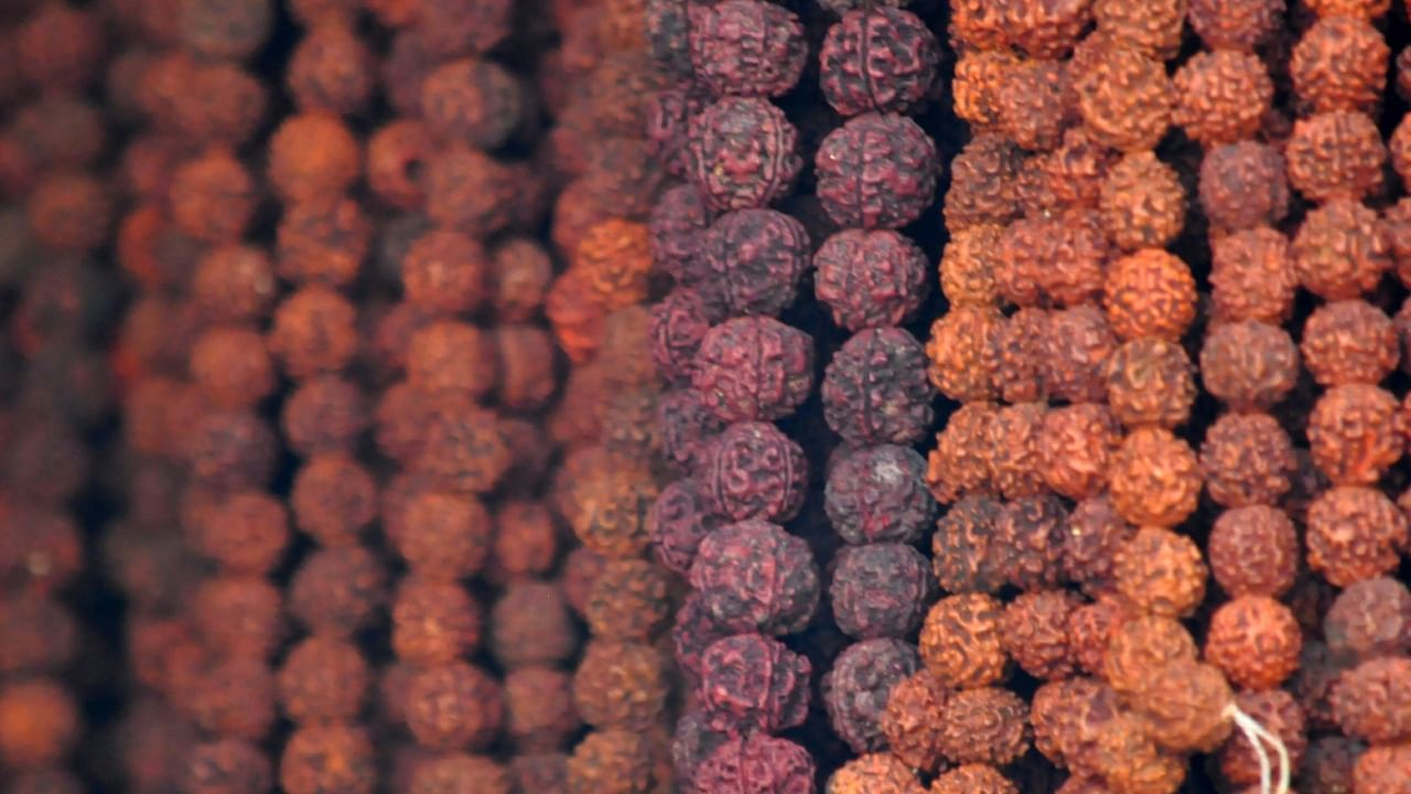 दररोज सकाळी रुद्राक्ष घालण्यापूर्वी आणि रात्री काढण्यापूर्वी रुद्राक्ष मंत्र आणि रुद्राक्ष मूळ मंत्राचा नऊ वेळा जप करा. रुद्राक्ष धारण केल्यानंतर मांसाहारी भोजन आणि मद्यपान करणे टाळा. अंतिम संस्कारात किंवा सूतक-पातक काळात रुद्राक्ष घालू नये.