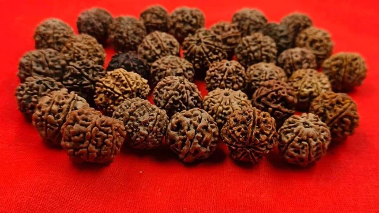 गळ्यात रुद्राक्ष धारण केल्याने हृदयाशी संबंधित आजार, ताणतणाव, चिंता, रक्तदाब नियंत्रित होतो, परंतु रुद्राक्षाचा वाढता प्रभाव पाहून आजकाल लोक श्रद्धेच्या नावाने उघडपणे खेळत आहेत. देशात रुद्राक्षाच्या नावाखाली भद्राक्ष विकून लोकांची फसवणूक होत आहे.