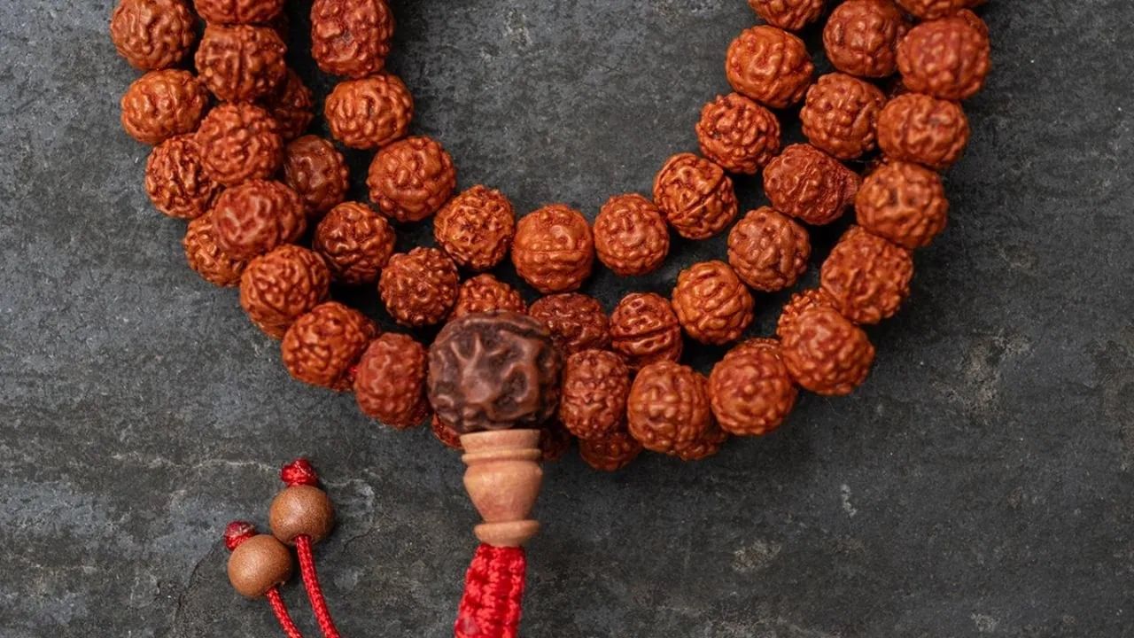 खऱ्या रुद्राक्षाला नैसर्गिक छिद्रे असतात. तर बनावट रुद्राक्षाला रुद्राक्षाचा आकार देण्यासाठी छिद्रे असतात. जर मूळ रुद्राक्ष मोहरीच्या तेलात बुडवला तर त्याचा रंग जात नाही. तर बनावट रुद्राक्षाचा रंग जातो.