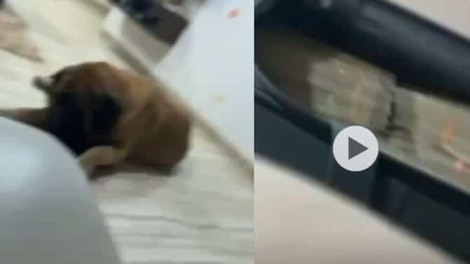 एक गोष्ट चुकीची घरात CCTV, शिसराटांचा व्हिडीओ व्हायरल होताच अंजली दमानियांचं खुलं आव्हान; काय म्हणाल्या?