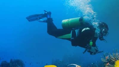 ही आहेत भारतातील स्कूबा डायव्हिंगसाठी पाच सर्वोत्तम ठिकाणे