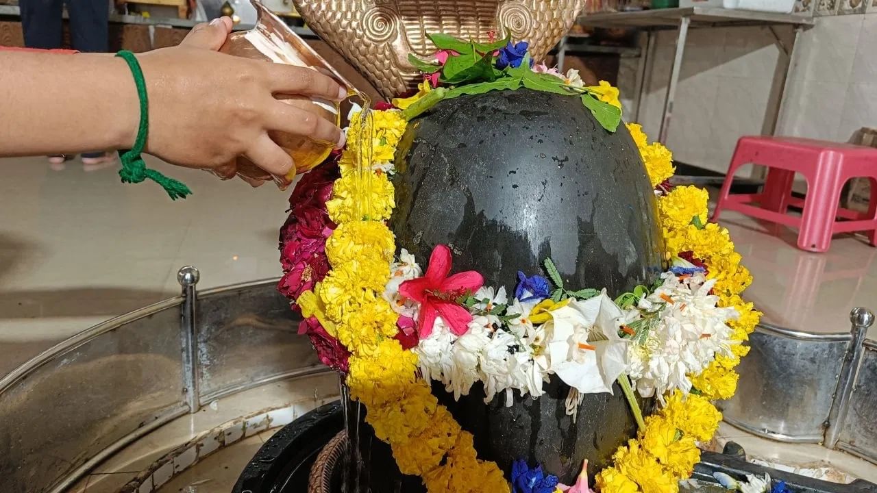 आध्यात्मिक दृष्टिकोनातून, शनी आणि महादेव यांचे आशीर्वाद मिळविण्यासाठी शमी वृक्ष उपयुक्त मानला जातो. असे मानले जाते की श्रावण महिन्यात शमी वृक्ष लावल्याने शुभ परिणाम मिळण्याची शक्यता वाढते आणि नकारात्मक ऊर्जा दूर होते.
