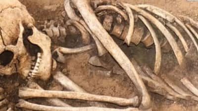 महिलांचे शेकडो मृतदेह; 16 वर्ष ...अन् तो सांगड्यांचा फोटो घेऊन पोलीस स्टेशनला पोहोचला, पोलीसही हादरले