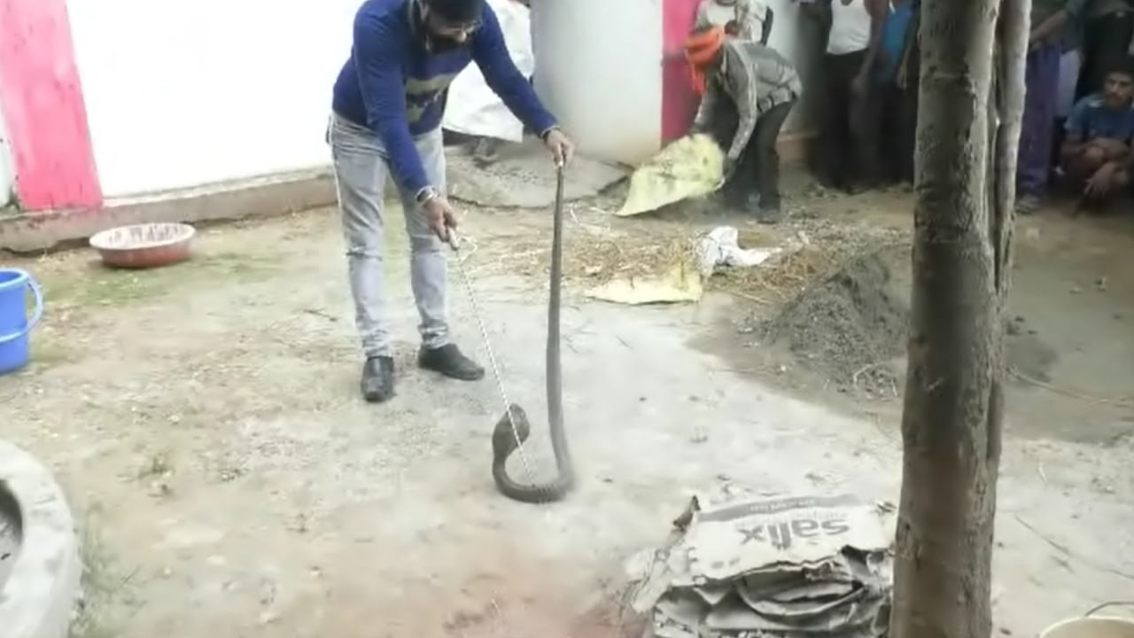 बहुतांश साप हे निरुपद्रवी असून शेतातील उंदीर आणि कीटक नियंत्रित करून ते शेतीसाठी अत्यंत उपकारक ठरतात. आज नागपंचमीच्या निमित्ताने सापांविषयीच्या गैरसमजांना दूर सारून त्यांच्या संरक्षणाबद्दल जनजागृती करणे महत्त्वाचे आहे.