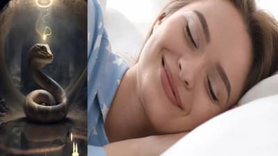 स्वप्नामध्ये साप चावणे याचा नेमकं अर्थ काय? जाणून घ्या