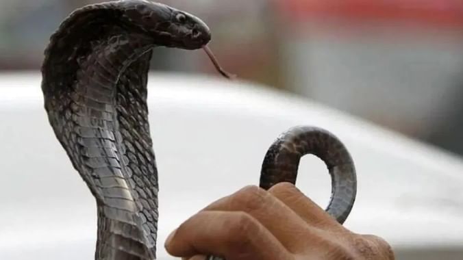 (टीप- या लेखातील सर्व माहिती ही प्राथमिक स्वरुपाची आहे. आम्ही यातील कोणत्याही माहितीचा दावा करत नाही किंवा समर्थनही देत नाही. सविस्तर माहितीसाठी किंवा कोणताही प्रयोग करण्याआधी त्या-त्या क्षेत्रातील तज्ज्ञांशी संपर्क साधावा) 