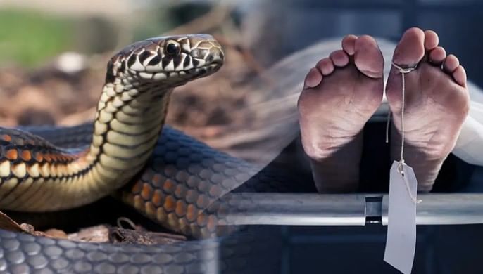 Disclaimer: वरच्या लेखातील माहिती ही प्राथमिक स्वरुपाची आहे. आम्ही या माहितीची पुष्टी करत नाही किंवा समर्थनही देत नाही. या लेखाच्या माध्यमातून अंधश्रद्धा पसरवण्याचा आमचा उद्देश नाही. तसेच आम्ही कोणताही दावा करत नाही. वरच्या लेखात दिलेल्या माहितीवरून कोणताही निर्णय घेण्याआधी त्या-त्या क्षेत्रातील तज्ज्ञांचा सल्ला आवश्य घ्या.  