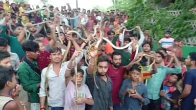 चर्चा तर होणारच ! या गावात गळ्यात साप लटकावून फिरतात लोकं, रहस्य काय ?