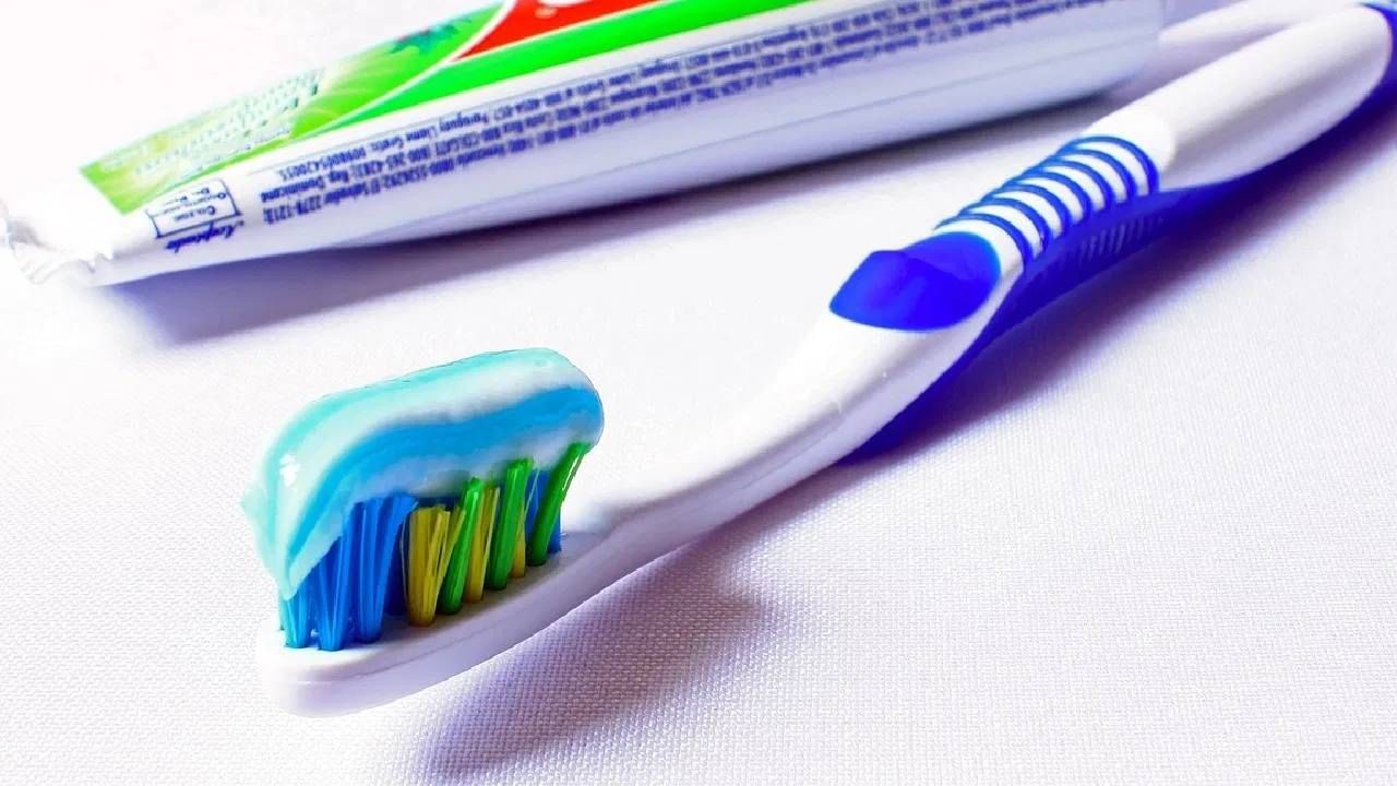 टूथपेस्ट व्हेज की नॉनव्हेज...? दातांची स्वच्छता राखणाऱ्या टूथपेस्टला सामान्यपणे व्हेजिटेरियन मानलं जातं. पण काही ब्रँड असे आहेत की त्यात जनावरांकडून मिळणाऱ्या काही गोष्टींचा वापर केला जातो. या गोष्टींचा वापर का केला जातो? असा प्रश्न निर्माण होतो. टूथपेस्ट नॉनव्हेजेटेरियन झाला हे कसं ओळखायचं? (फोटो: Pixabay)