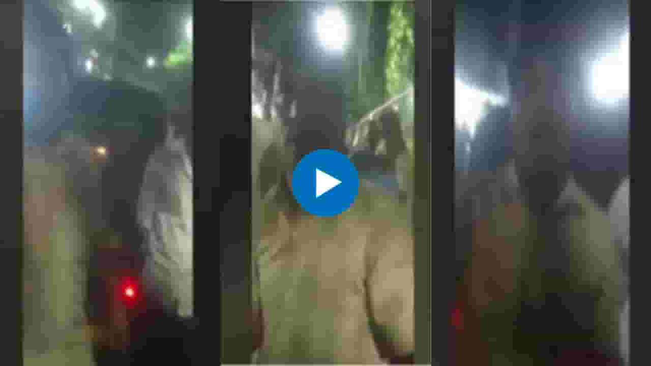 Virar News : मी हिंदी आणि भोजपुरीच बोलणार..; विरारमध्ये रिक्षा चालकाची मुजोरी, व्हिडीओ व्हायरल