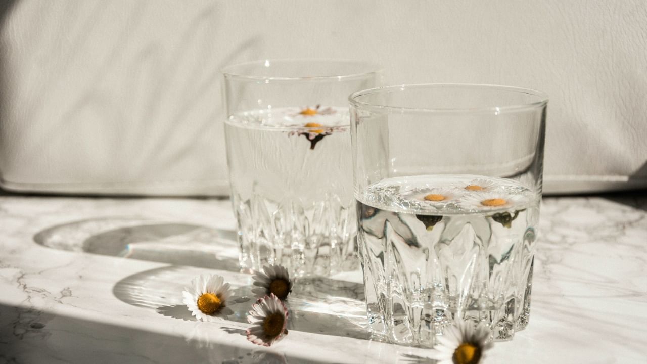 न्यूट्रिशनिस्ट गीतिका चोप्रा यांच्या मते, जर तुम्हाला जास्त उष्णता जाणवत असेल, व्यायाम करत असाल किंवा जास्त शारीरिक हालचालींचे काम करत असाल तर तुम्हाला अधिक पाण्याची गरज असते.