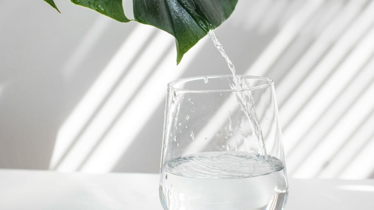 तसेच 14 ते 18 वर्षांच्या तरुणांनी 2.5 ते 3 लीटर पाणी प्यावे. प्रौढ पुरुषांनी दररोज 3 ते 3.7 लीटर पाणी प्यावे. तर प्रौढ महिलांनी म्हणजे 18 वर्षांवरील महिलांनी 2.5 ते 3 लीटर पाणी पिणे आवश्यक आहे.