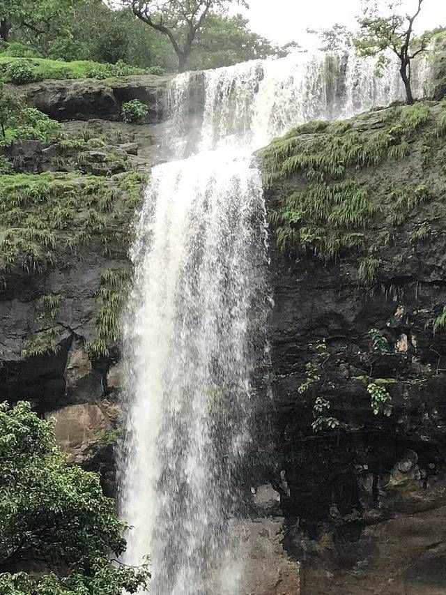 भंडारदऱ्यातील 'या' 6 धबधब्यांना आवर्जून भेट द्या! भंडारदऱ्यातील 'या' 6 धबधब्यांना आवर्जून भेट द्या!